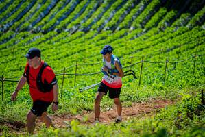 BIB: 914
                            <button type="button" onclick="openModal(19163123)" class="btn btn-primary btn-sm float-right btn-popup" data-toggle="modal" data-target=".modal-high-quality">
                        <i class="fas fa-shopping-cart"></i> Add to Cart
                    </button>
                                            <button type="button" onclick="isThisMe(19163123, true)" class="btn btn-success btn-sm float-right btn-popup btn-isme hidden" data-toggle="tooltip" data-placement="bottom" title="นี่คือรูปของคุณใช่ไหม คลิกที่นี่เพื่อเอาเข้าอัลบั้ม">
                        <i class="fas fa-plus"></i> Add to album
                    </button>
                    <button type="button" onclick="isThisMe(19163123, false)" class="btn btn-warning btn-sm float-right btn-popup btn-isnotme hidden">
                        <i class="fas fa-ban"></i> Remove from album
                    </button>